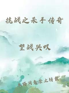 抗戰(zhàn)之殺手傳奇